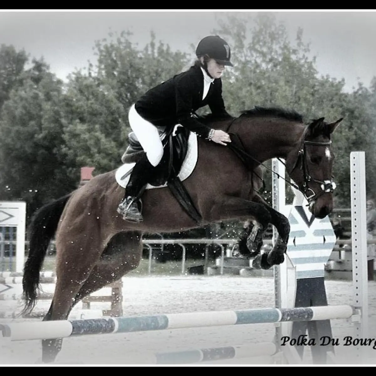 cso, dressage, compétition équestre