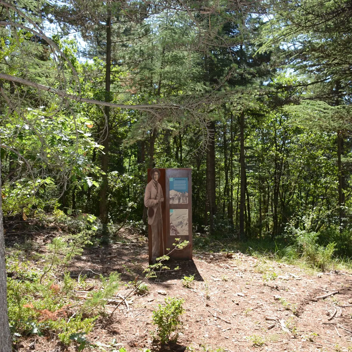 Médiation sur les reboiseurs du Ventoux