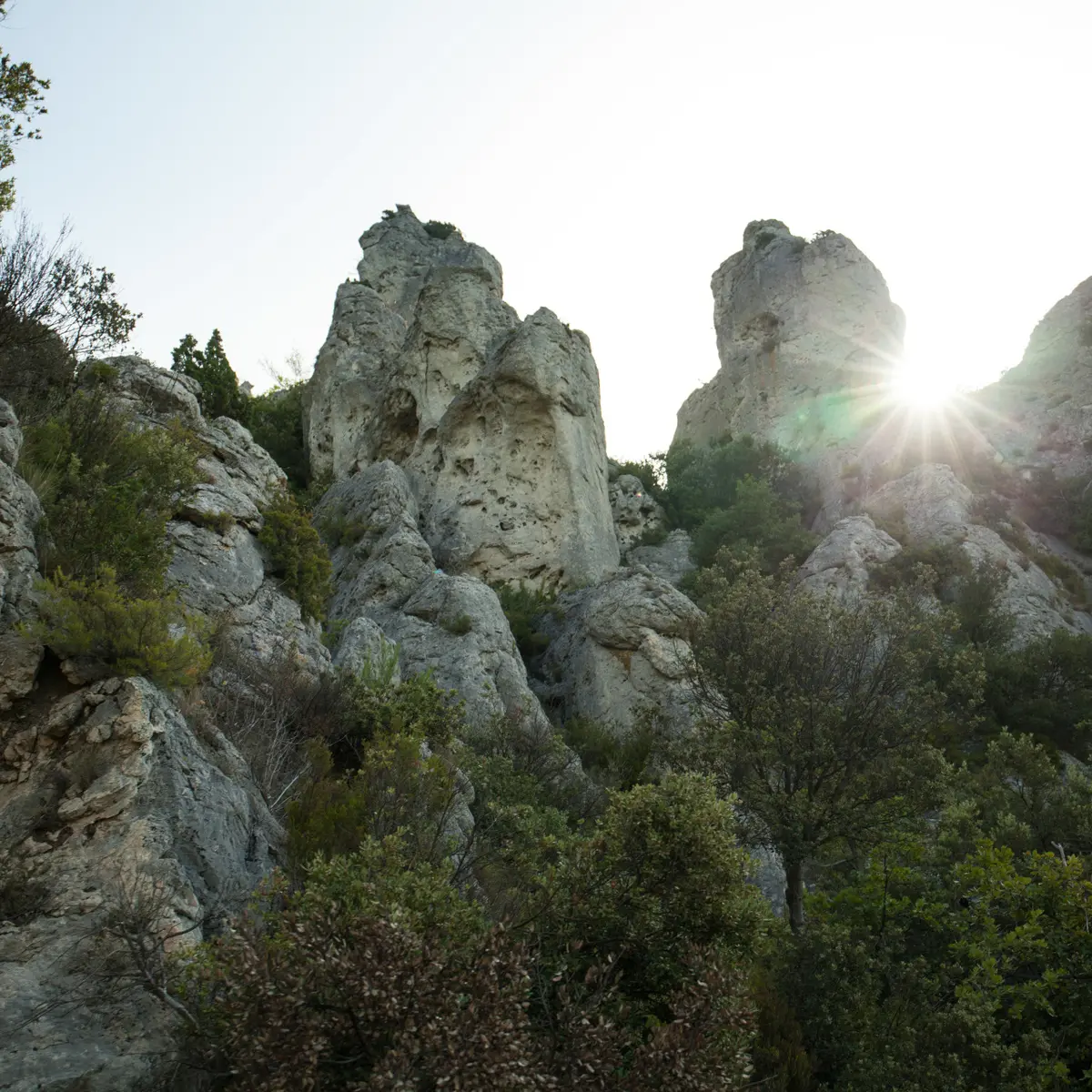 Montagne de la Loube - La Roquebruss
