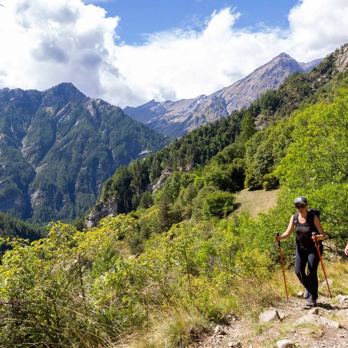 Méollion - Kinaphoto © Parc national des Ecrins