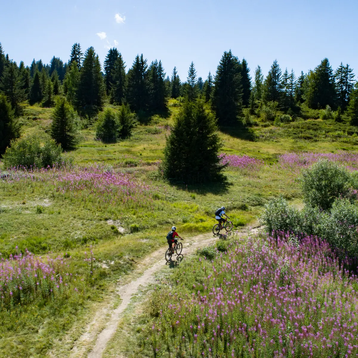 Domaine VTT Cristal Vert Crest-Voland Les Saisies