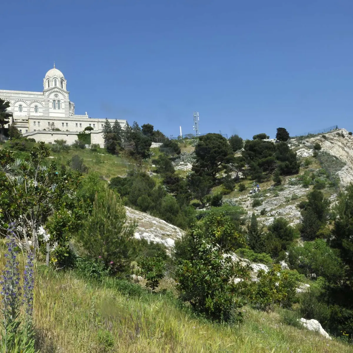 Jardin du Bois Sacré - Ville de Marseille