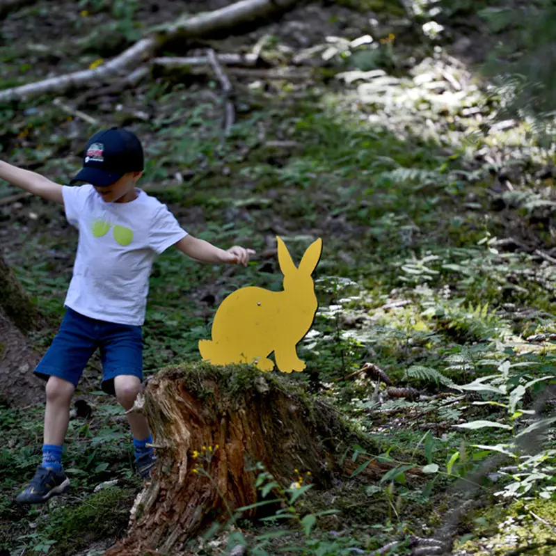 Parcours Cache-cache des Animaux