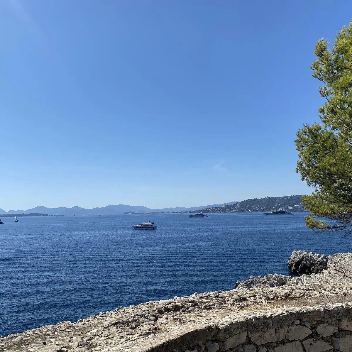 Posidonia - Vue Mer