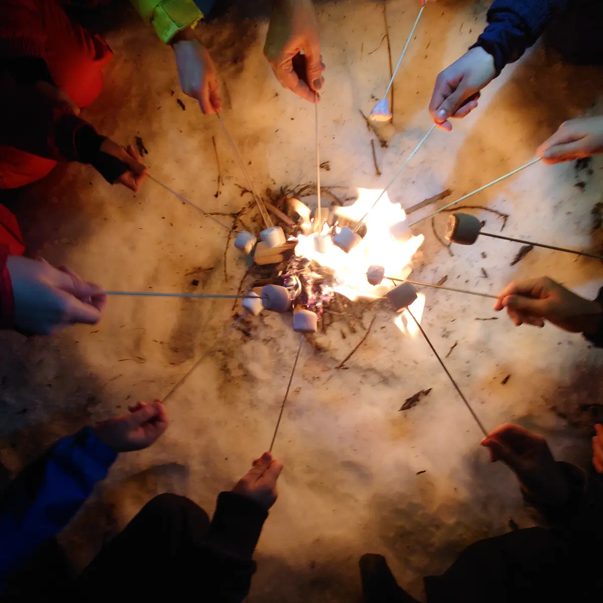 Balade nocturne guimauves sur le feu à la Féclaz_La Féclaz