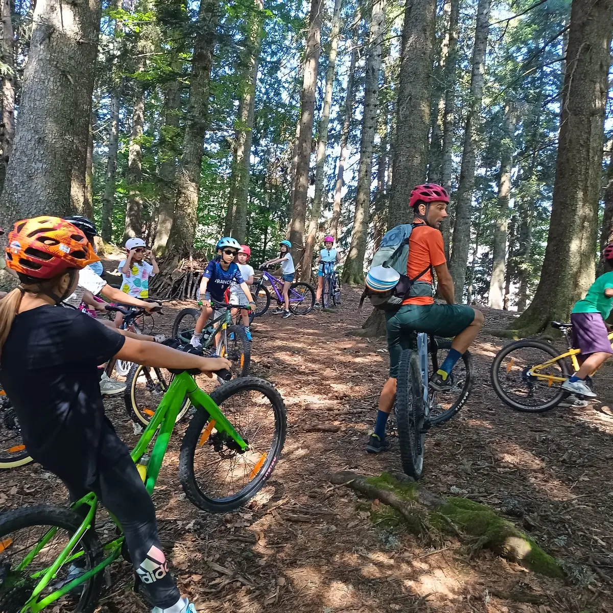 VTT