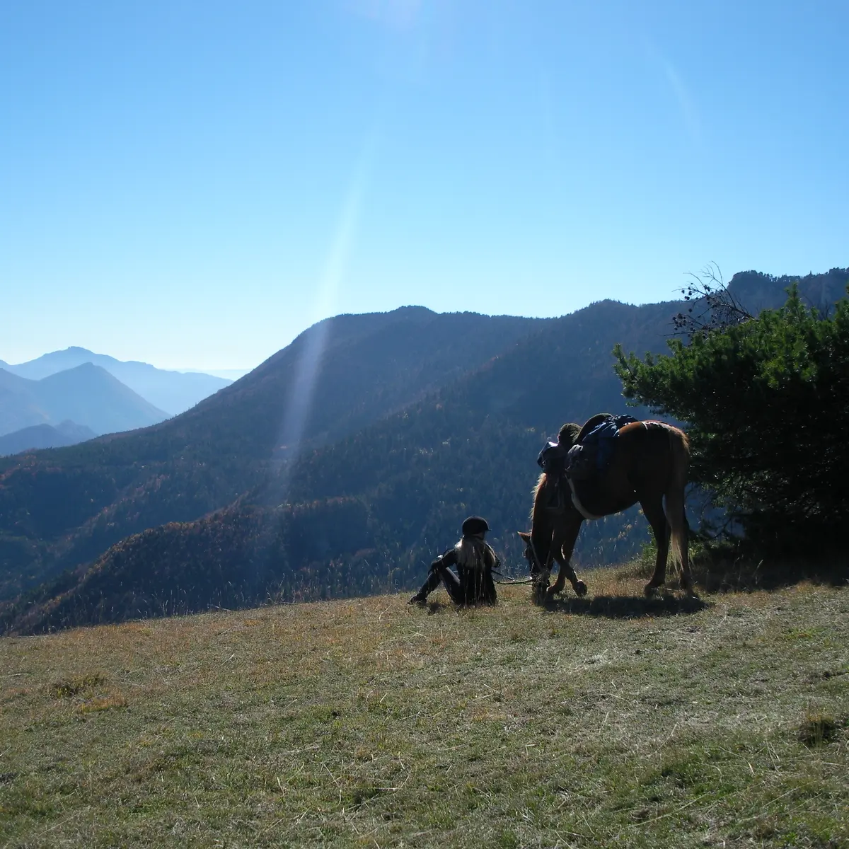 Séjour équestre : Les portes du Dévoluy avec Les Sabots de Vénus