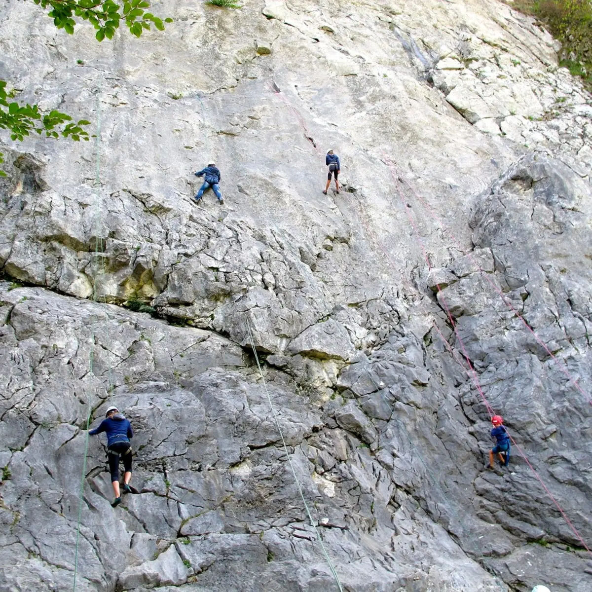 Encadrement Escalade