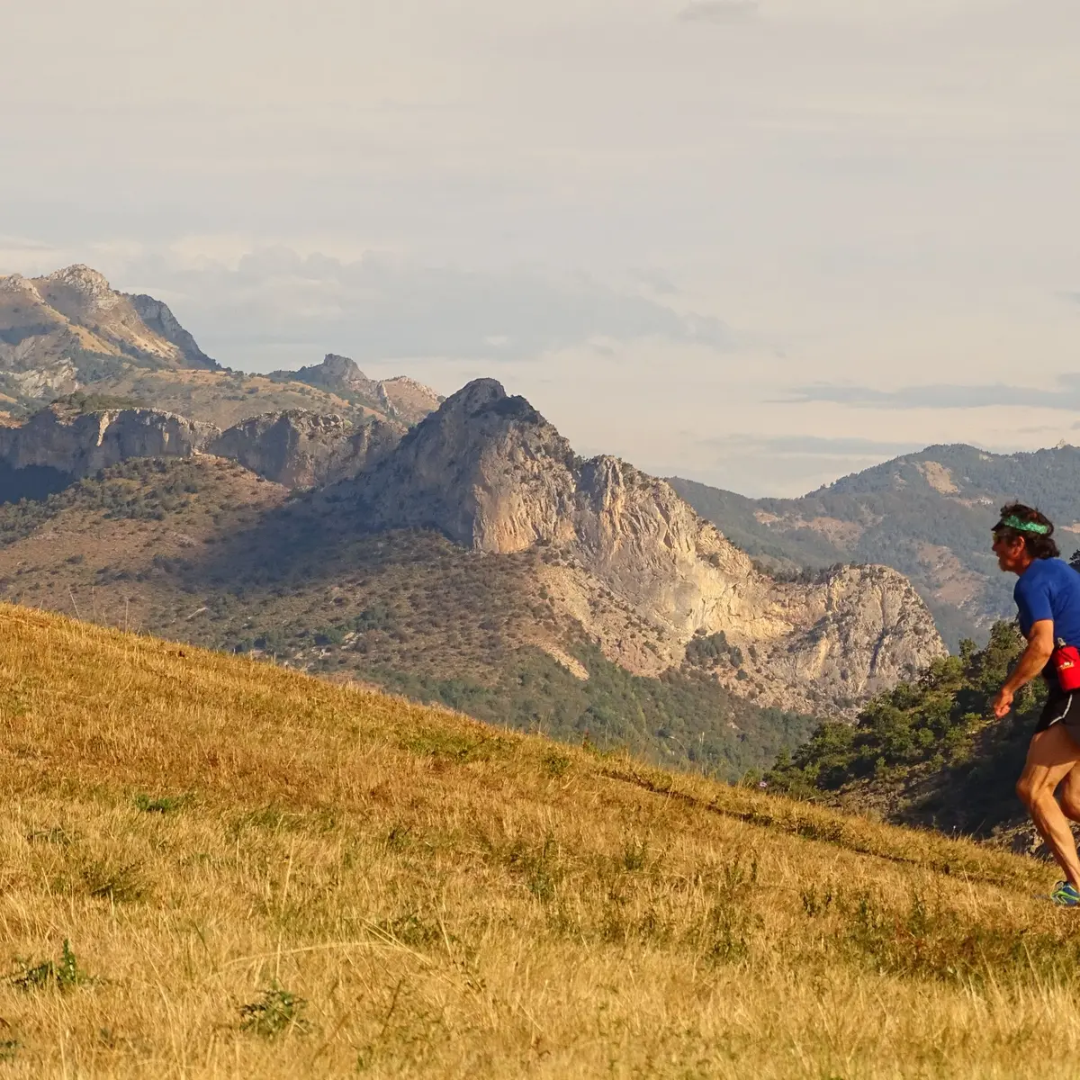 Vues sur les massifs environnants : Lure, les Barronies, le Dévoluy, les Ecrins et les Monges