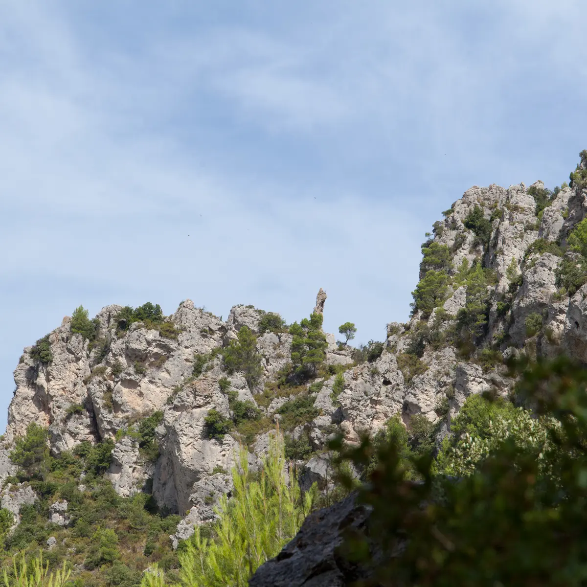 Montagne de la Loube - La Roquebruss