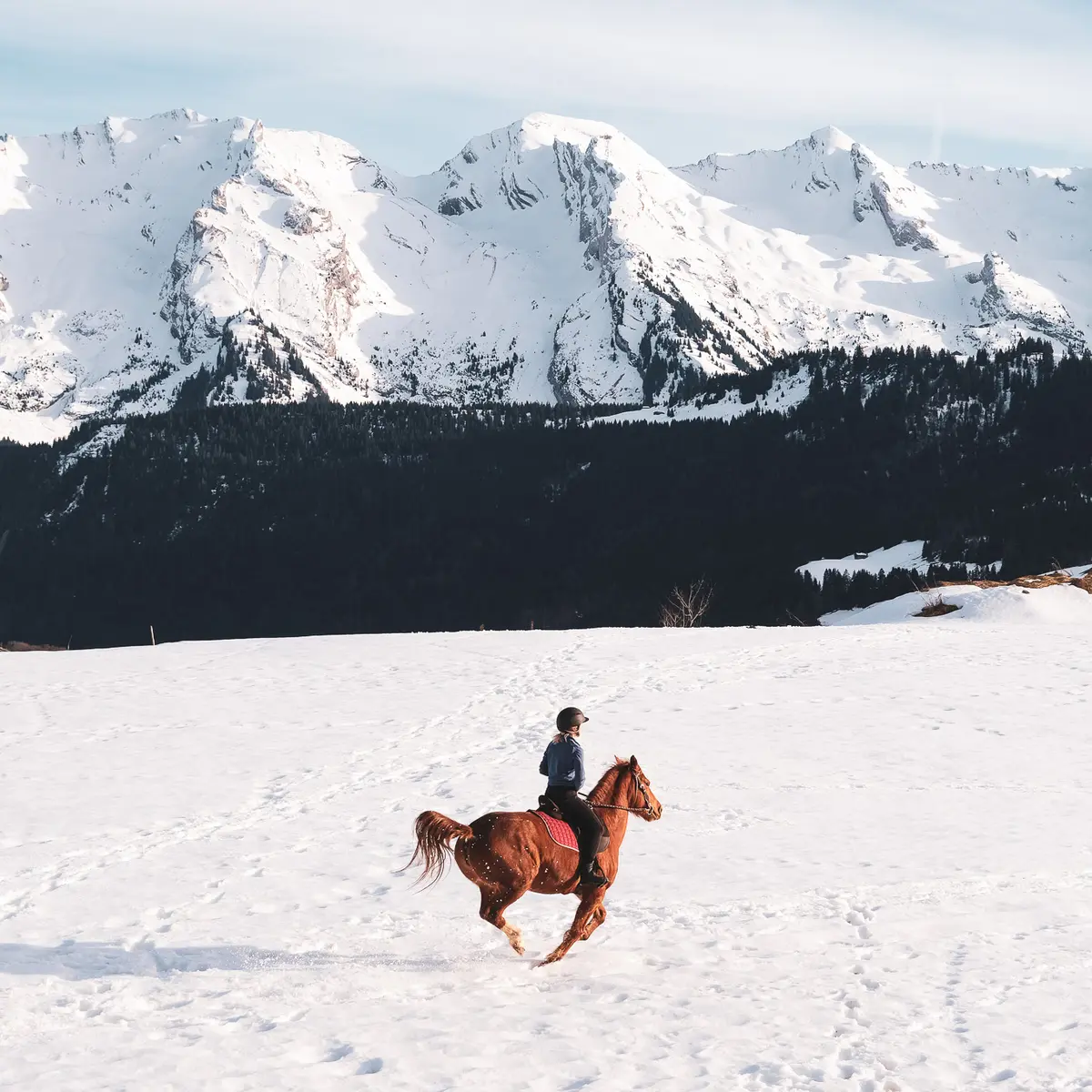 Balade à poney au Grand-Bornand