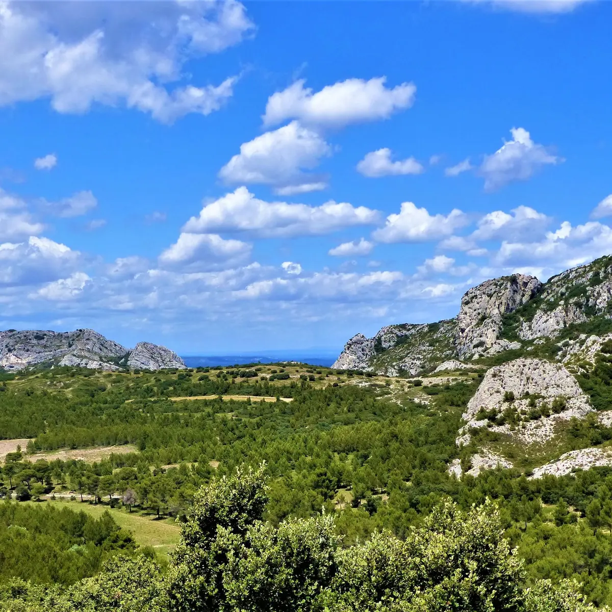 Vue sur le Petit et le Gros Calan
