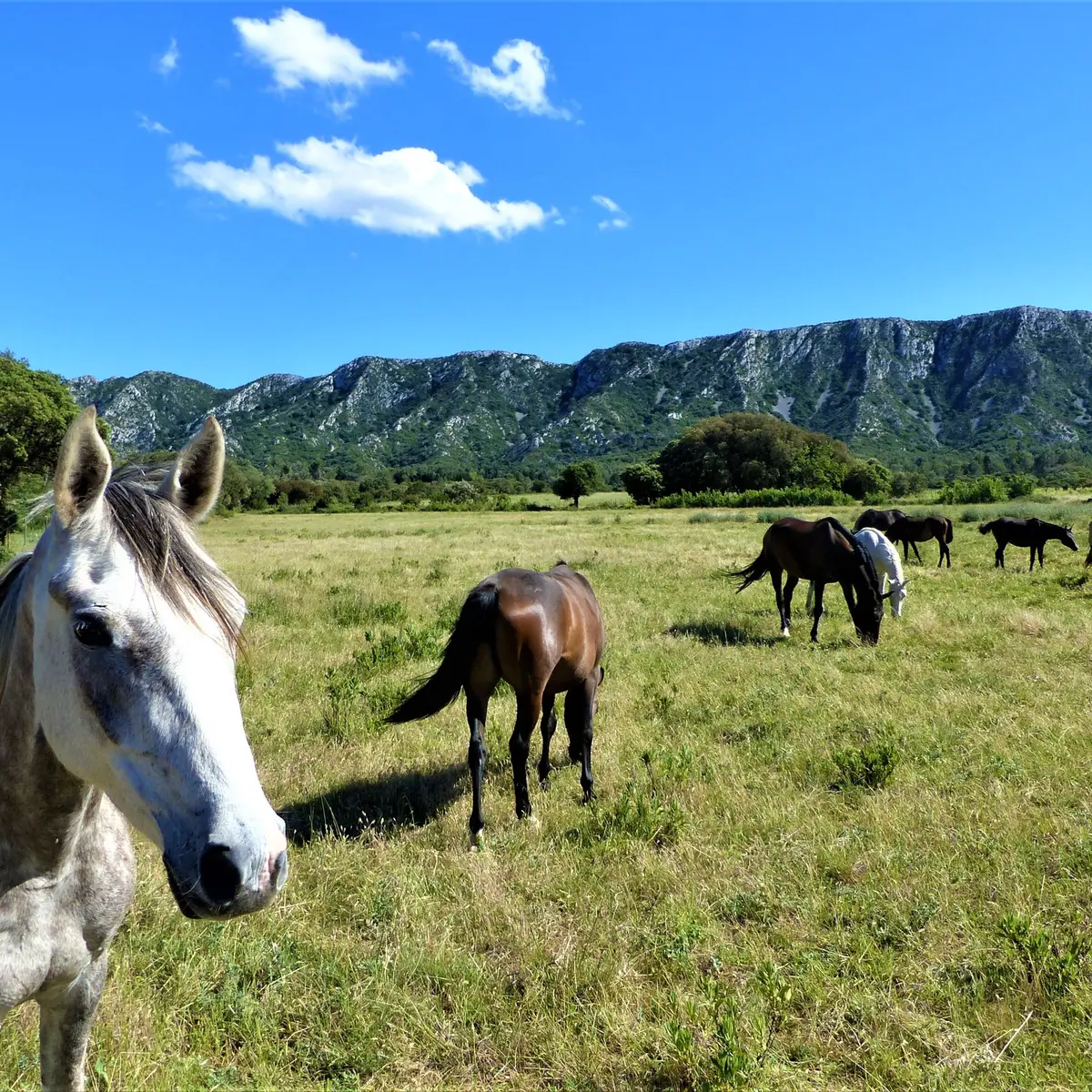 Vue sur le Pas de l'Aigle