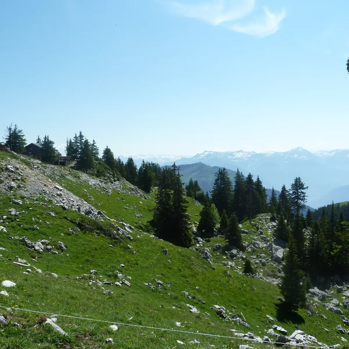 Randonnée pédestre : Aller-retour Aulp de Seythenex_Faverges-Seythenex