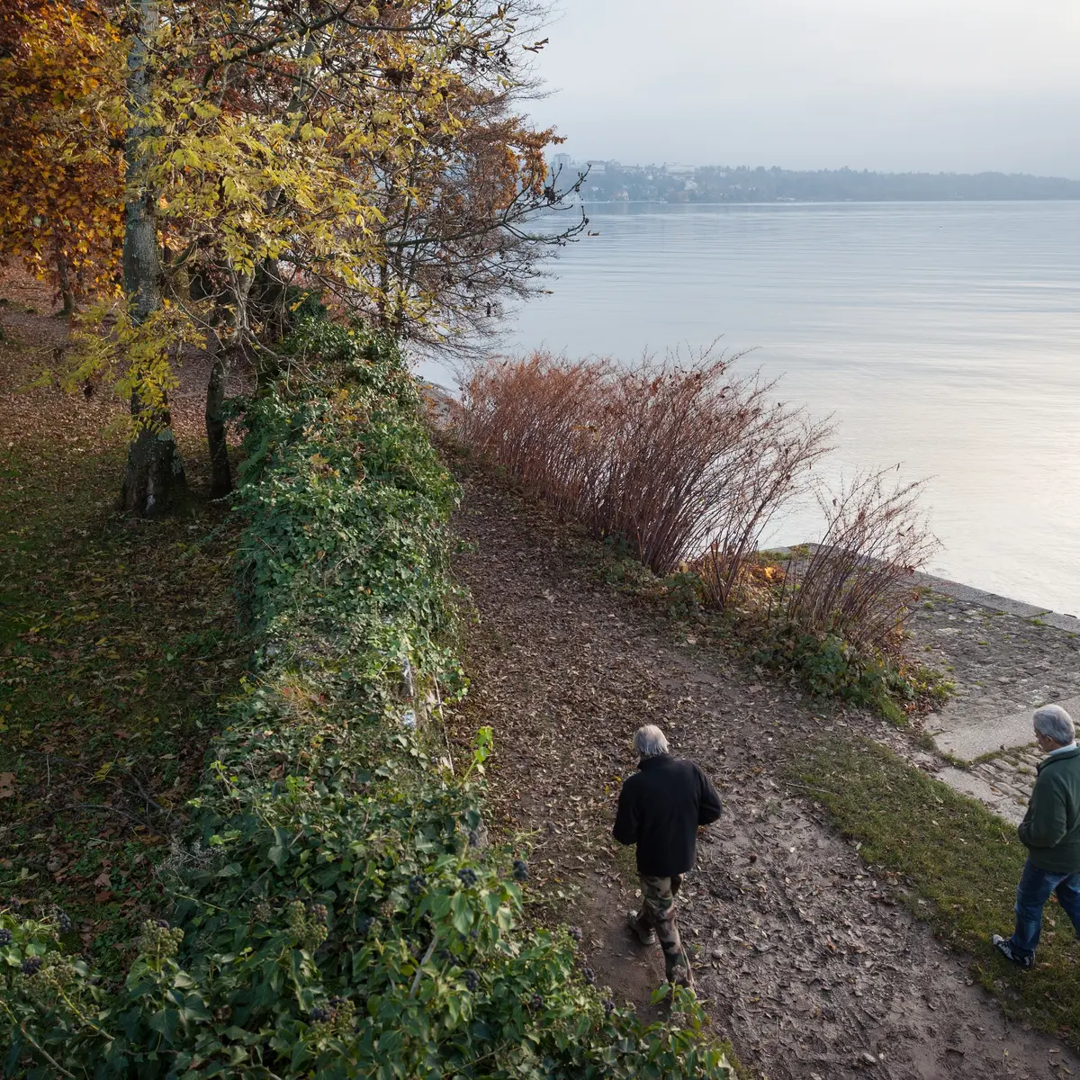 Sentier de la Pinede