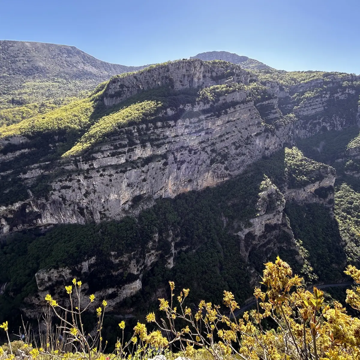 Gorges en entier