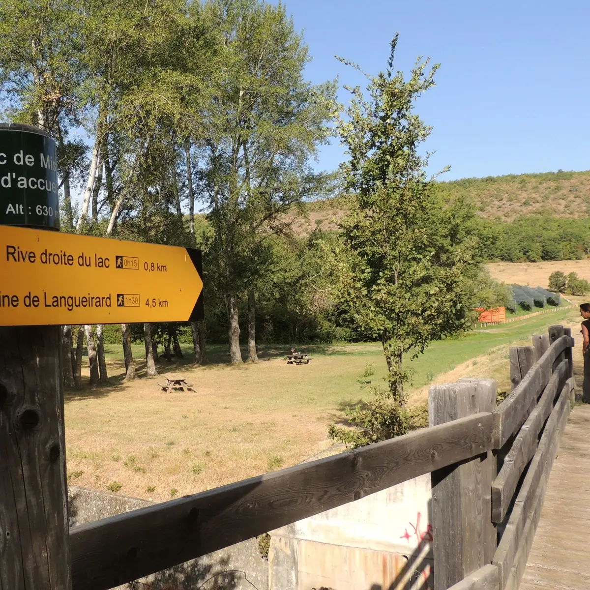 Sentier aménagé avec des plateformes en bois