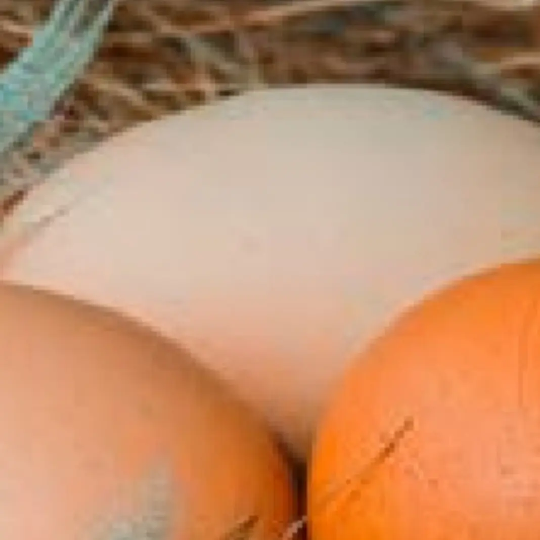 GAEC de l'Empereur, Le Glaizil, vallée du Valgaudemar