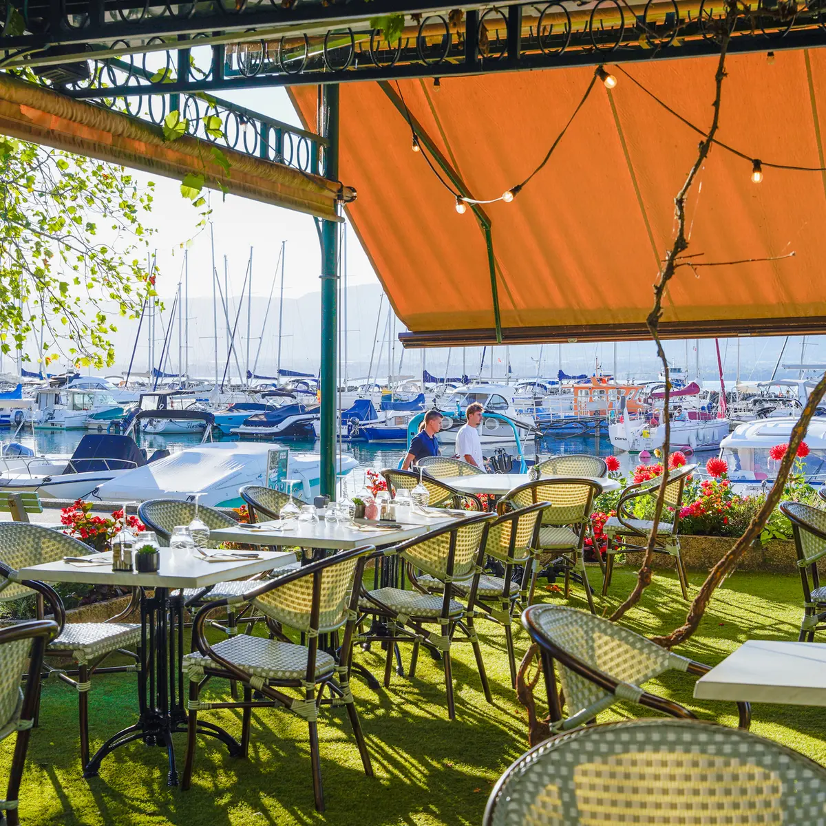 Terrasse