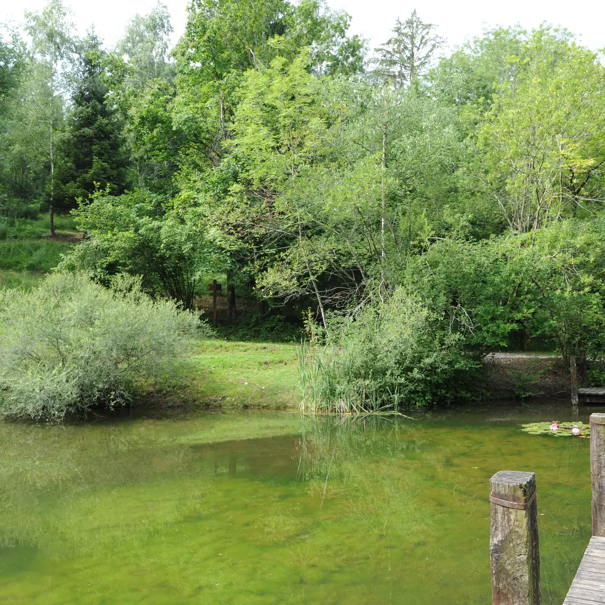 Parc de Neuvecelle