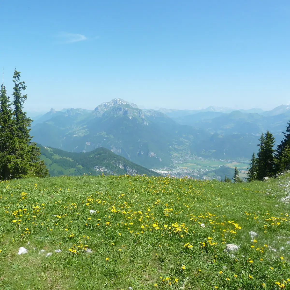 Randonnée pédestre : Aller-retour Aulp de Seythenex_Faverges-Seythenex