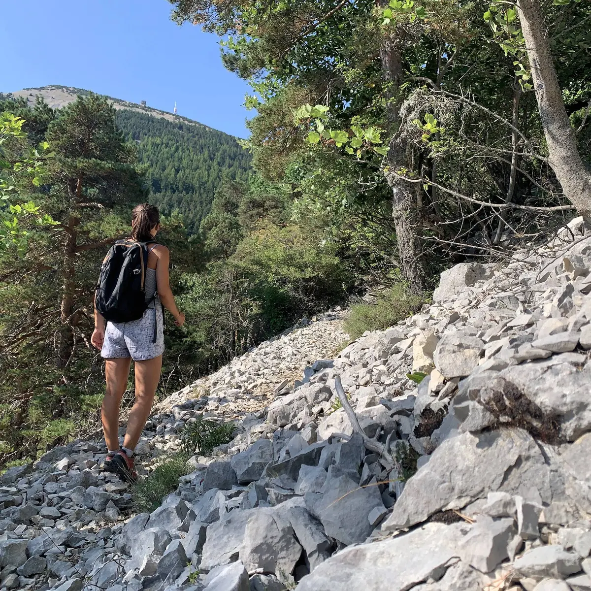 Ascension vers le sommet