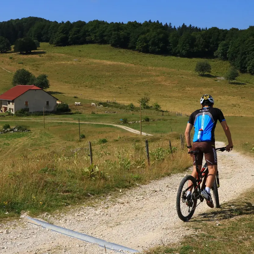 Circuit VTT 12 les Plans d'Hotonnes Plateau de Retord - Bugey Sud