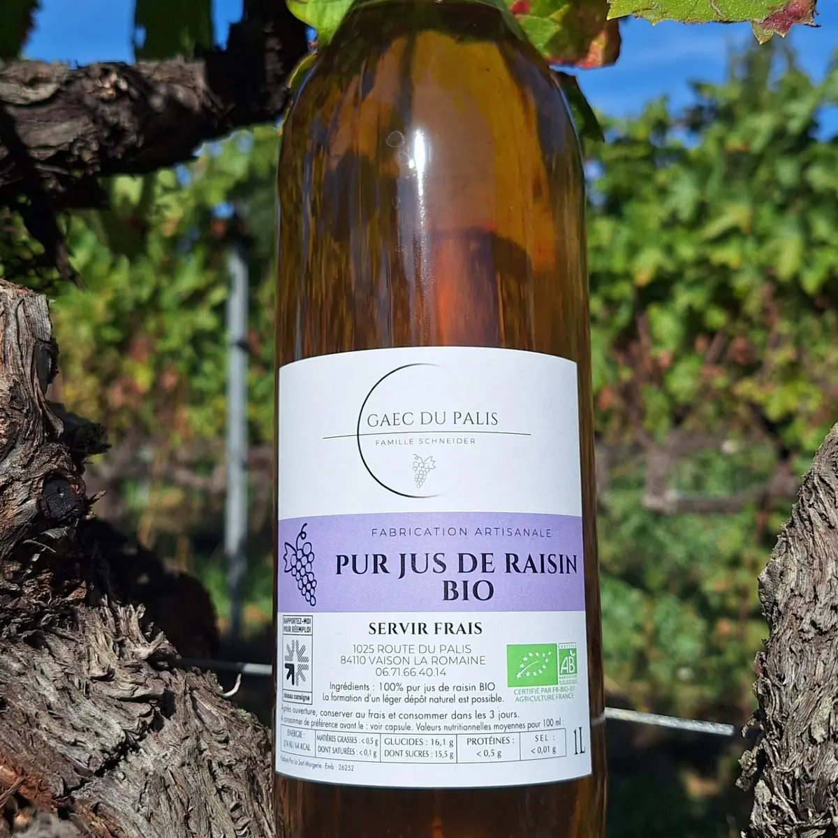 Pur jus de raisin Cinsault bio