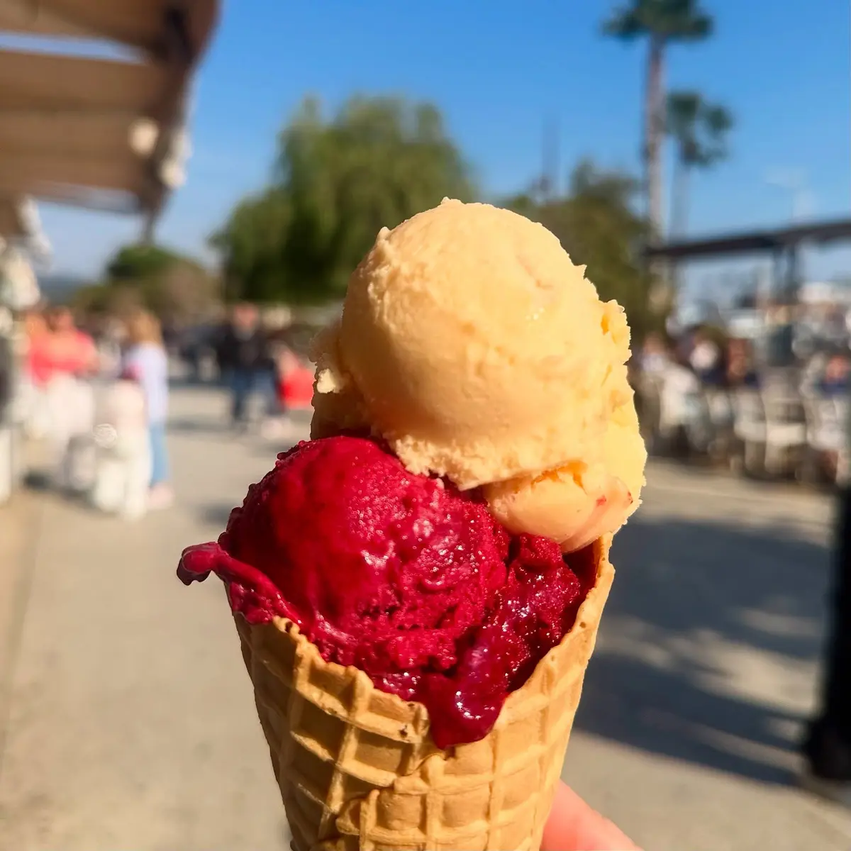 Casa Del Gelato_Bandol