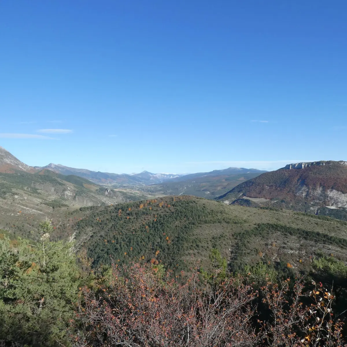 Dominant la vallée du Rosannais