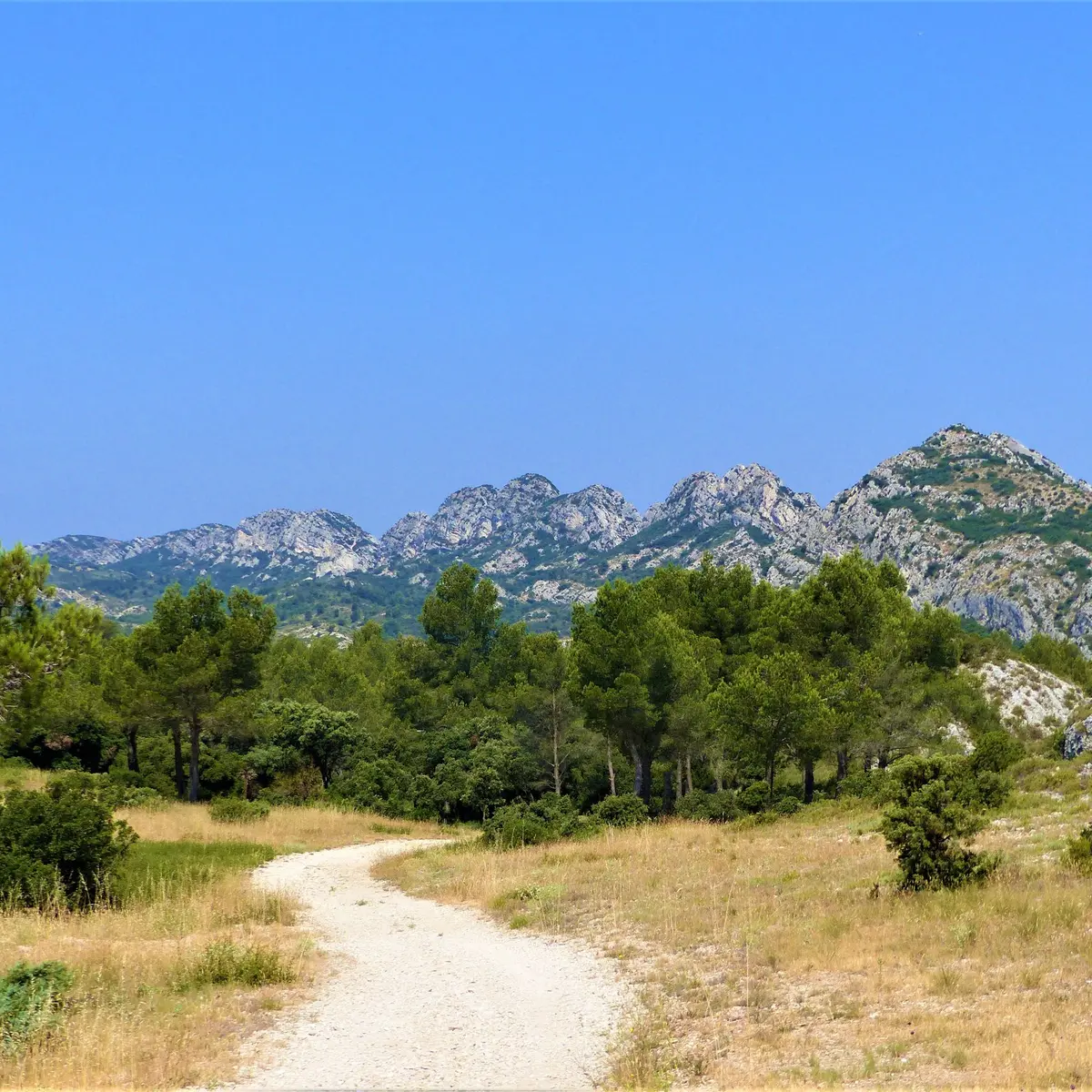 Vue sur la crête des Alpilles