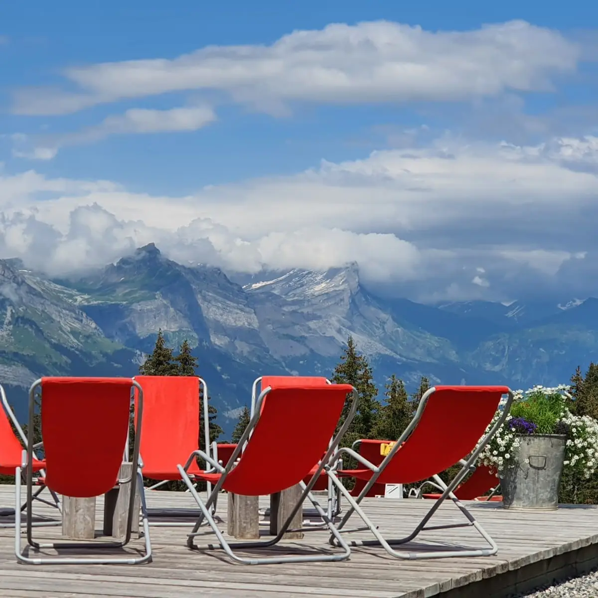 restaurant - terrasse