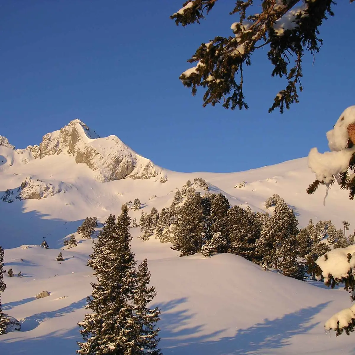 Randonnée pédestre : Aller-retour Aulp de Seythenex_Faverges-Seythenex
