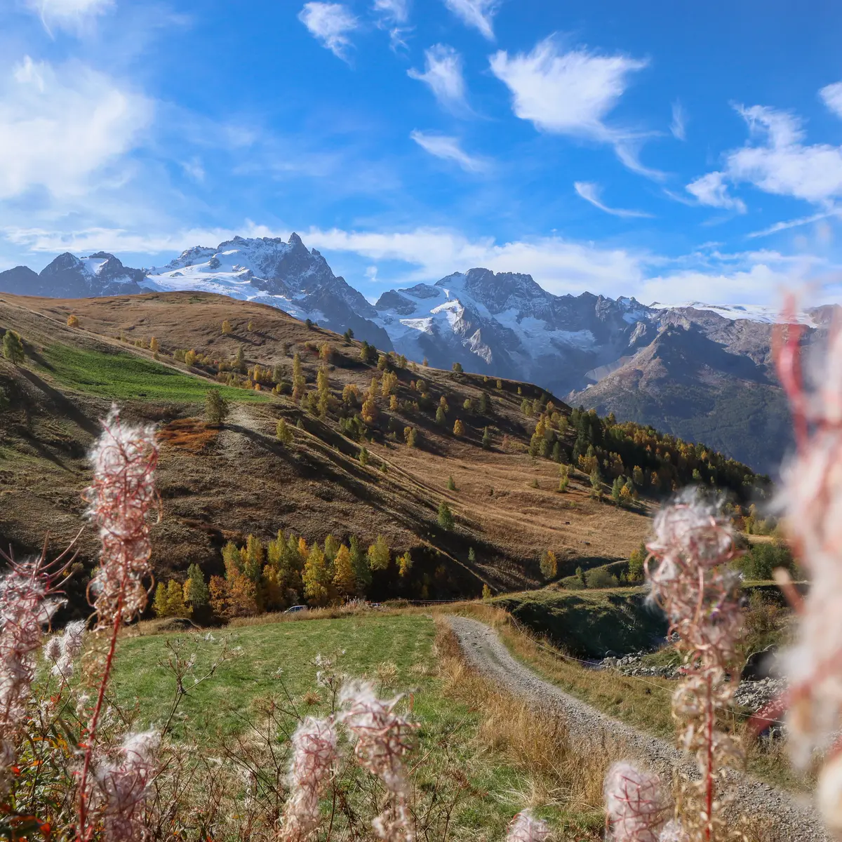 Valfroide - La Grave