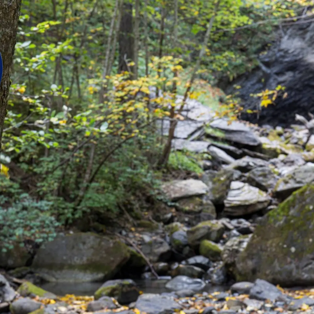 Cascade de la Pisette à l'automne