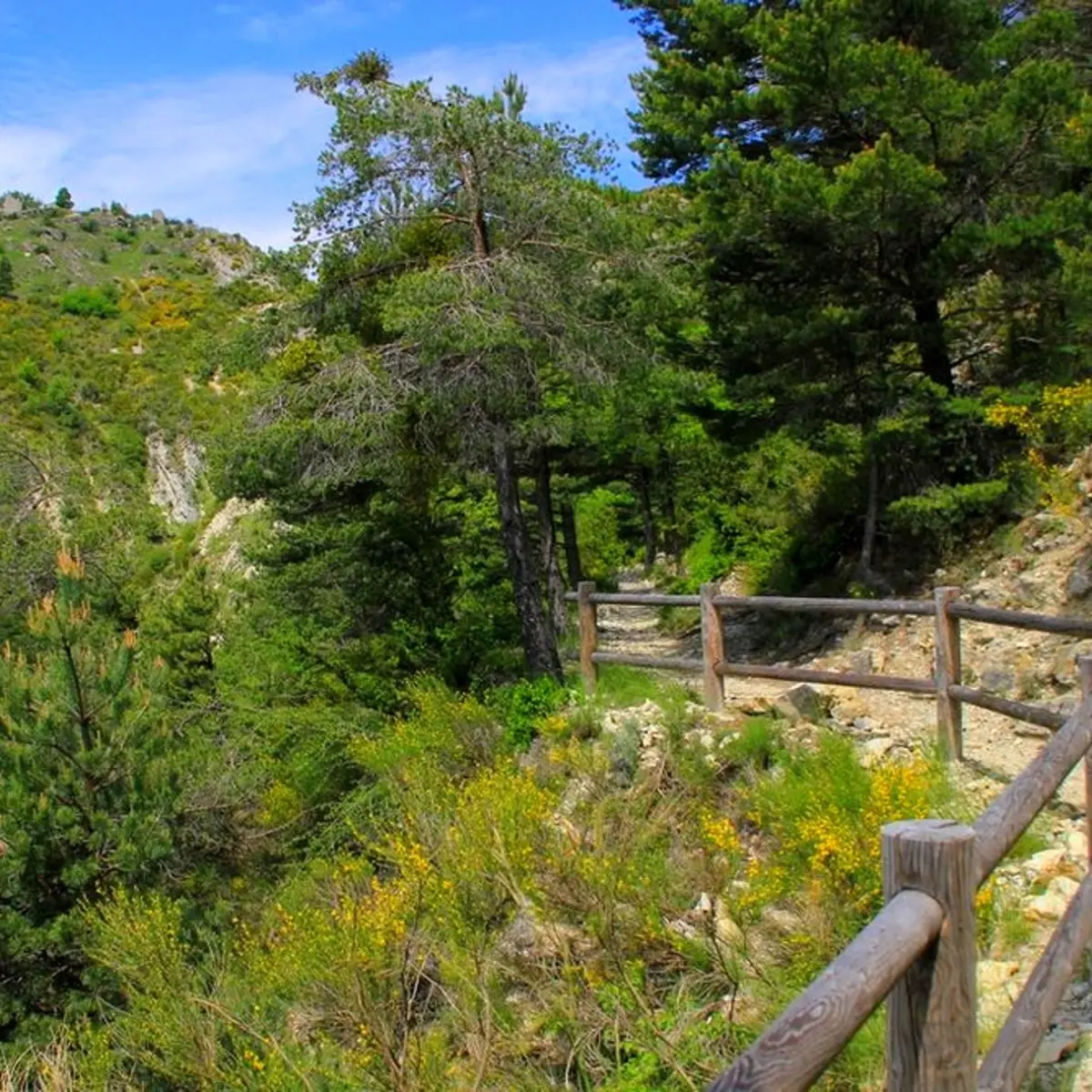 La circulaire de Peyroules