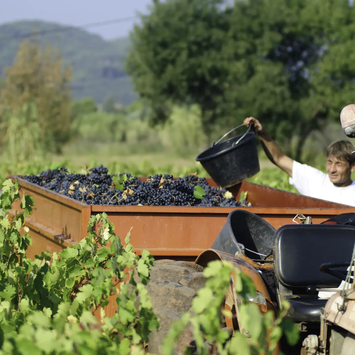 Château LA CASTILLE