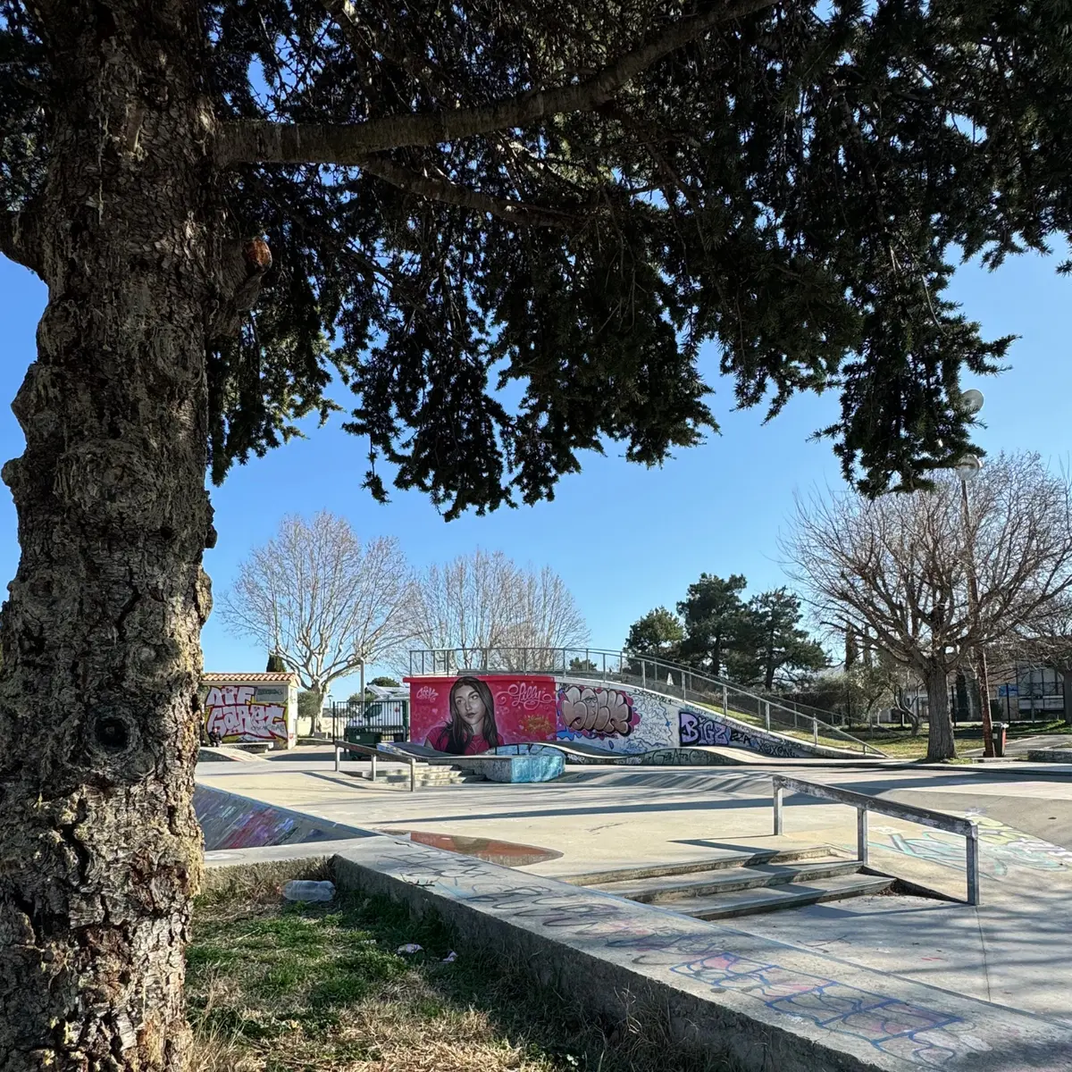 Skatepark_Saint-Rémy-de-Provence