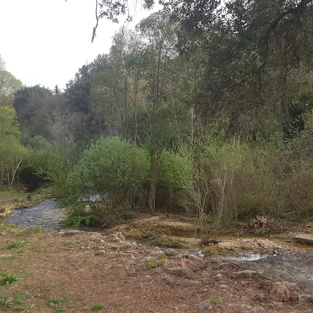 Berges de la Source de l'Argens_Seillons-Source-d'Argens