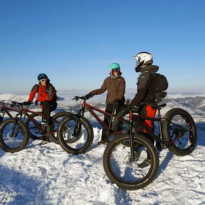 Fatbike