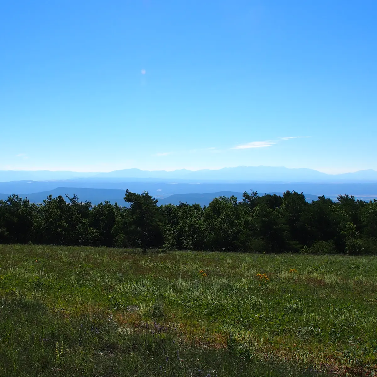 paysage - non contractuel