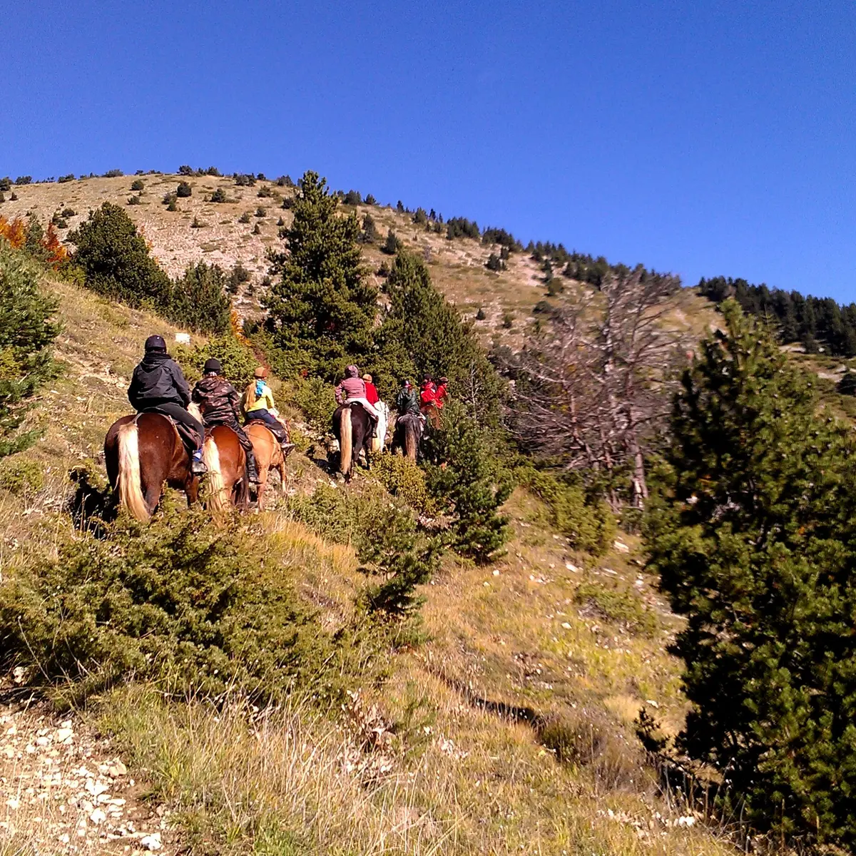 Séjour équestre : Les portes du Dévoluy avec Les Sabots de Vénus