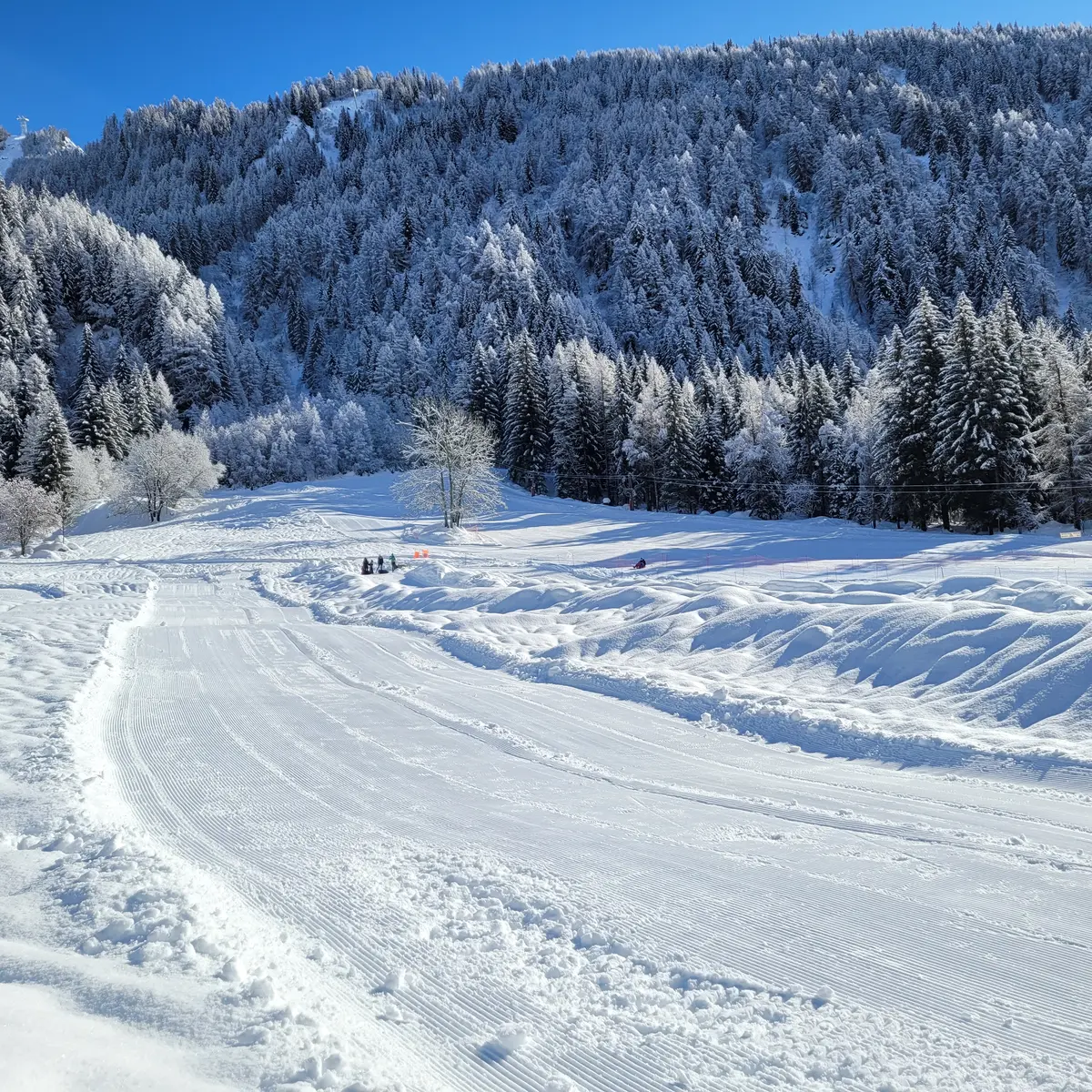 Piste de ski de fond à Argentière