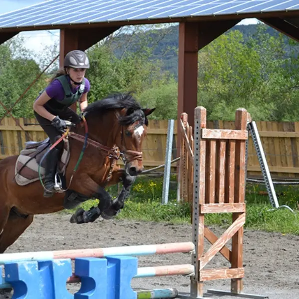 Les Ecuries de Seyne Les Colombets