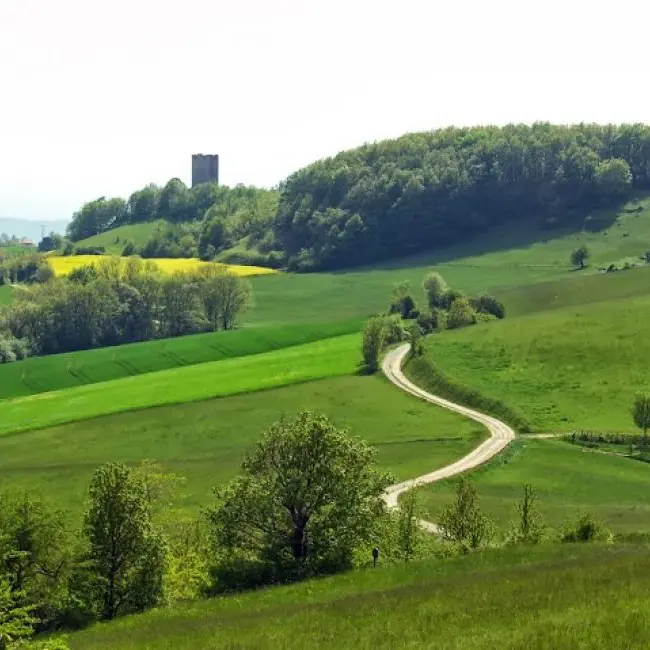 Les collines de sable