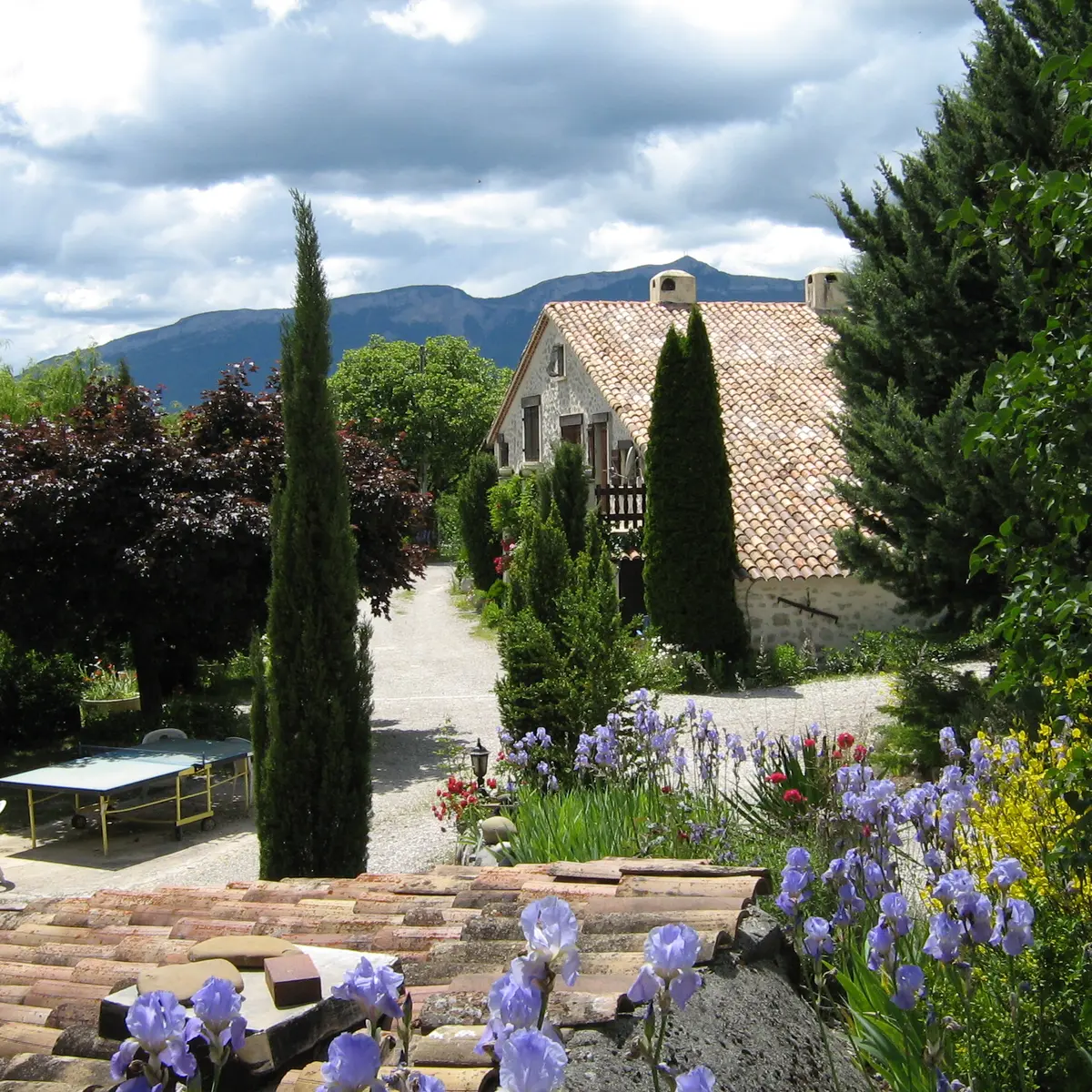Un mas provençal transformé en chambres d'hôtes