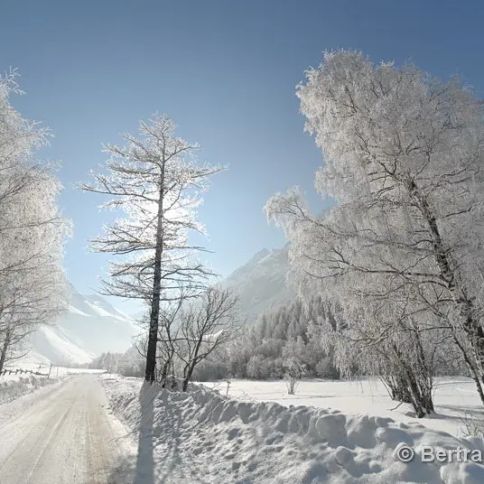 arbres enneigés piste piéton arsine