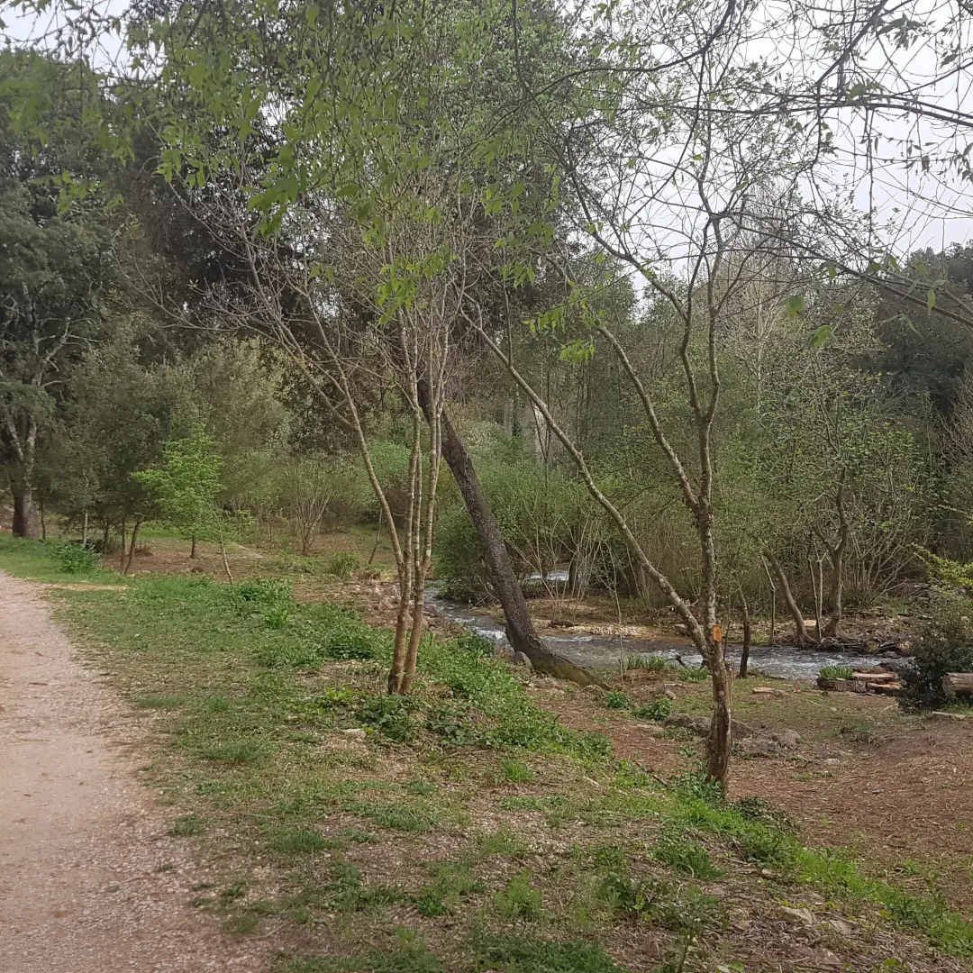 Berges de la Source de l'Argens_Seillons-Source-d'Argens