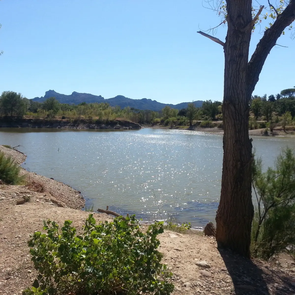 Vue sur l'étang avec la végétation aux alentours
