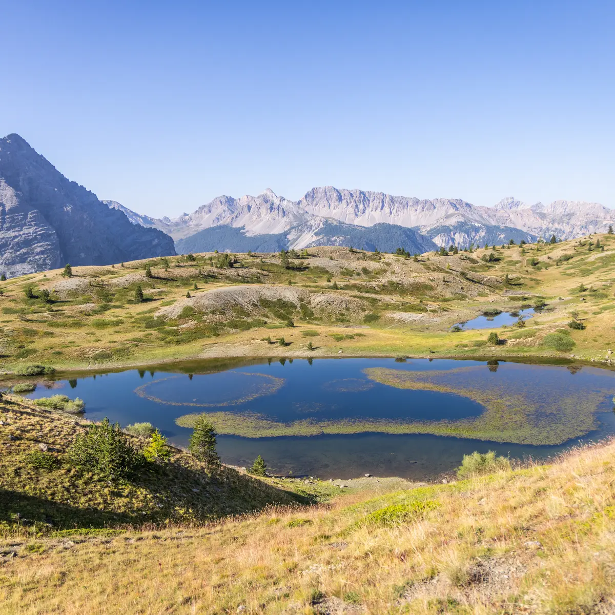 Boucle du col Bousson en trail